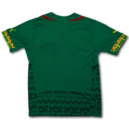 Kamerun 2014 Heim Puma M